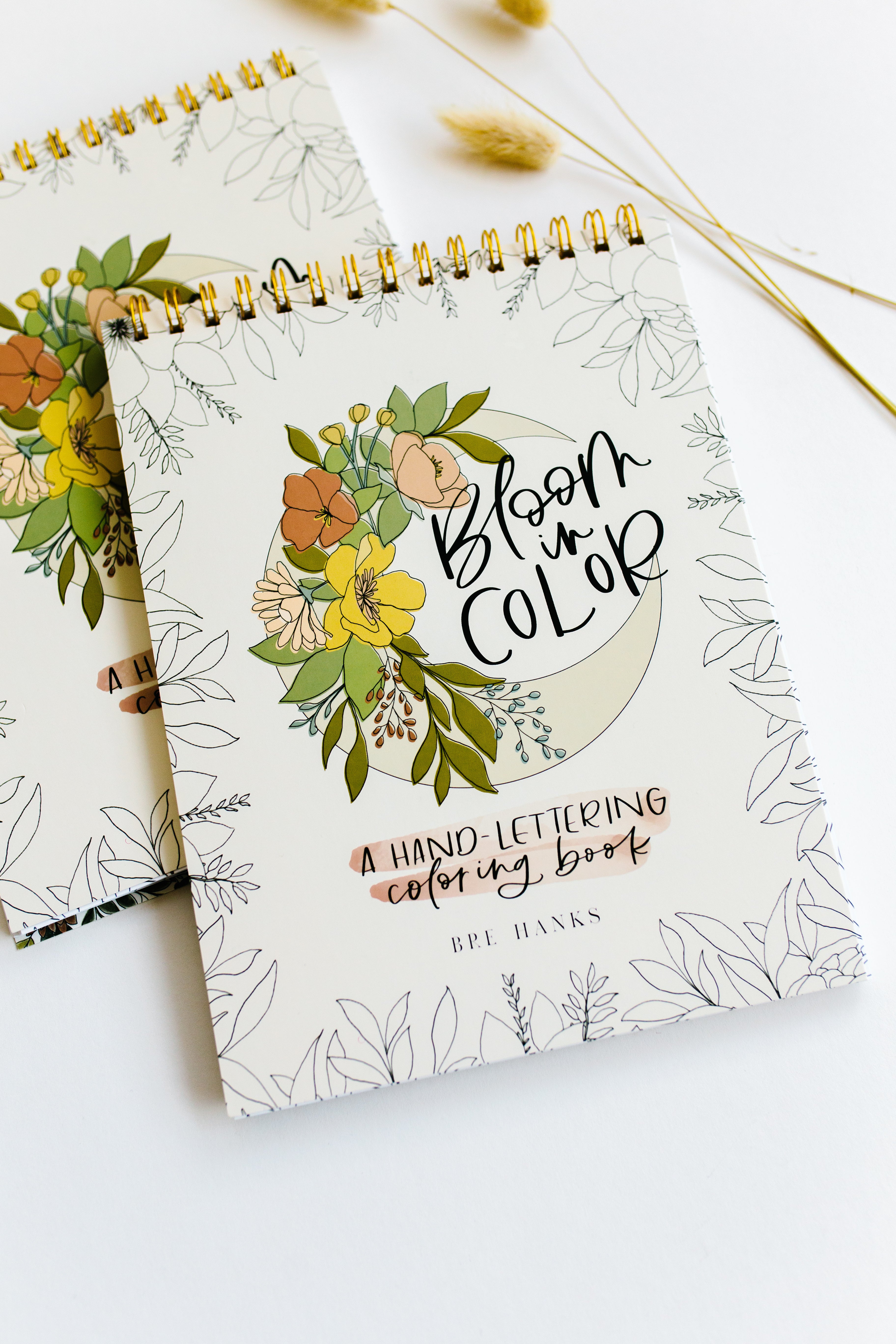 Bre Design Co Procreate Hand-Lettering Courses + Floral Coloring Books